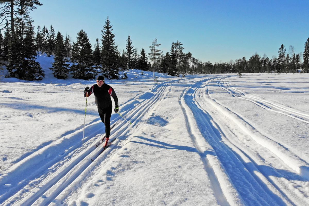 Skidåkare Boregmossen