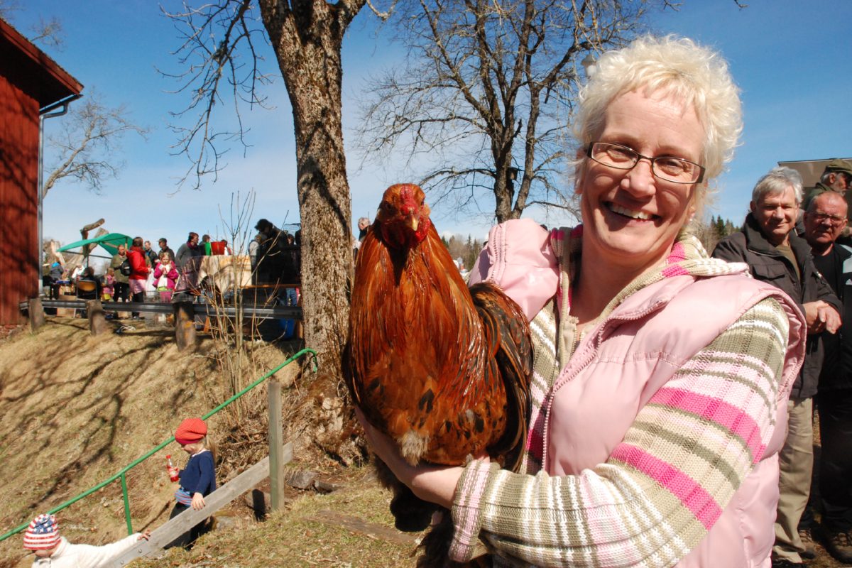 höns camilla